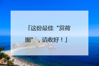 这份最佳“赏荷图”，请收好！