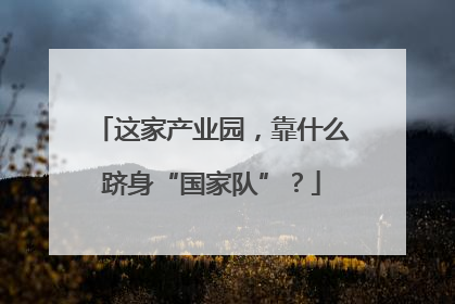 这家产业园，靠什么跻身“国家队”？