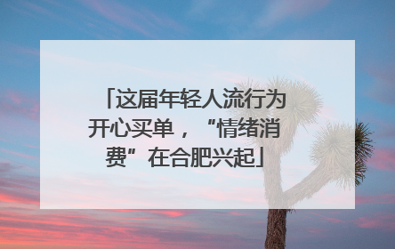 这届年轻人流行为开心买单，“情绪消费”在合肥兴起