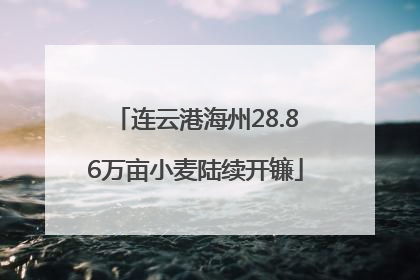 连云港海州28.86万亩小麦陆续开镰