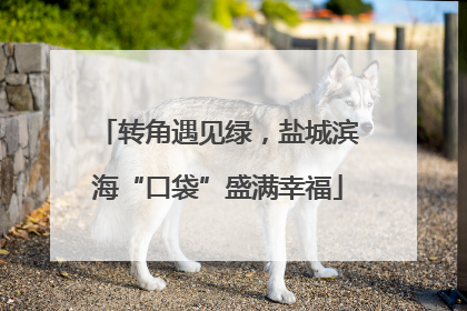 转角遇见绿，盐城滨海“口袋”盛满幸福