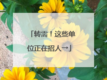 转需！这些单位正在招人→