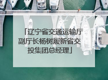 辽宁省交通运输厅副厅长杨树履新省交投集团总经理