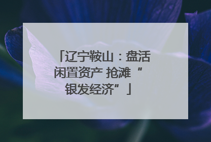 辽宁鞍山：盘活闲置资产 抢滩“银发经济”