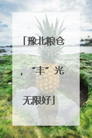 豫北粮仓，“丰”光无限好