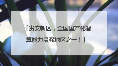 贵安新区，全国国产化智算能力最强地区之一！