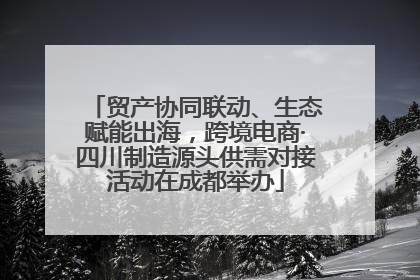 贸产协同联动、生态赋能出海，跨境电商·四川制造源头供需对接活动在成都举办