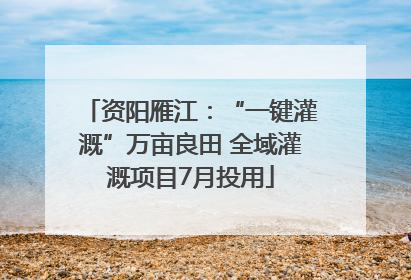 资阳雁江：“一键灌溉”万亩良田 全域灌溉项目7月投用
