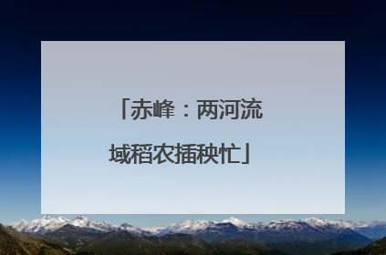 赤峰：两河流域稻农插秧忙