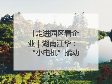 走进园区看企业｜湖南江华：“小电机”撬动“大产业”
