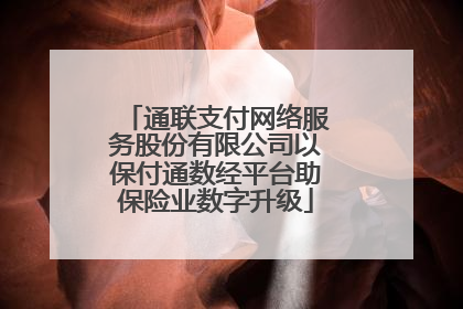 通联支付网络服务股份有限公司以保付通数经平台助保险业数字升级