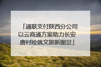 通联支付陕西分公司以云商通方案助力长安唐村绘就文旅新图景