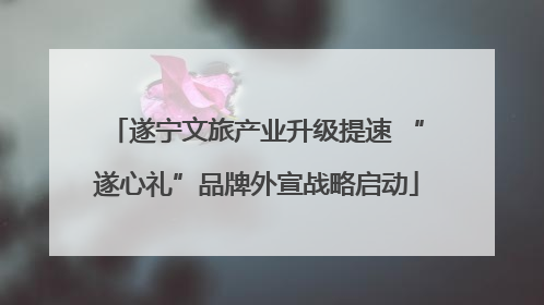 遂宁文旅产业升级提速 “遂心礼”品牌外宣战略启动