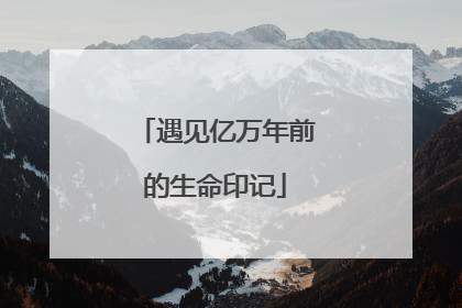 遇见亿万年前的生命印记