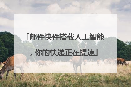 邮件快件搭载人工智能，你的快递正在提速