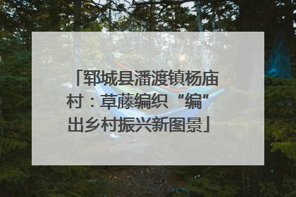 郓城县潘渡镇杨庙村：草藤编织“编”出乡村振兴新图景