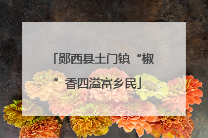 郧西县土门镇“椒”香四溢富乡民