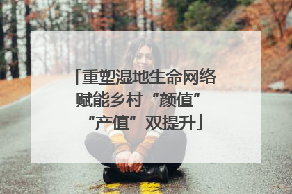 重塑湿地生命网络 赋能乡村“颜值”“产值”双提升