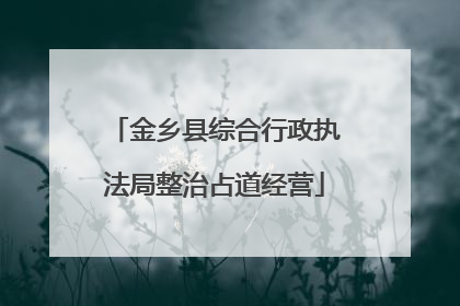 金乡县综合行政执法局整治占道经营