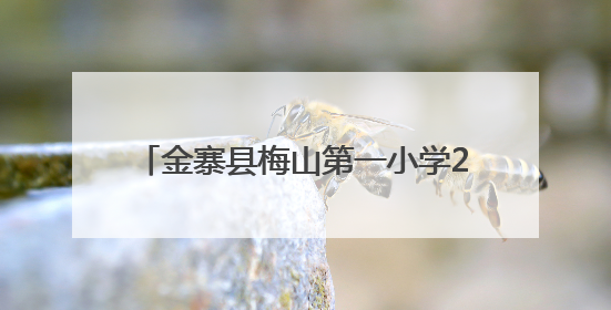 金寨县梅山第一小学2025年校园文化体育艺术节暨乡村少年宫文艺展演活动圆满落幕