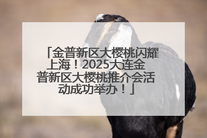金普新区大樱桃闪耀上海！2025大连金普新区大樱桃推介会活动成功举办！