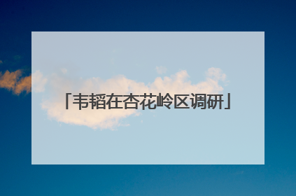 韦韬在杏花岭区调研