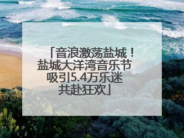音浪激荡盐城！盐城大洋湾音乐节吸引5.4万乐迷共赴狂欢