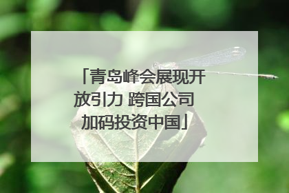 青岛峰会展现开放引力 跨国公司加码投资中国