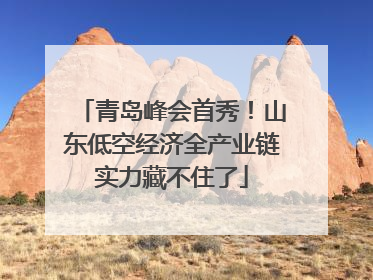 青岛峰会首秀！山东低空经济全产业链实力藏不住了