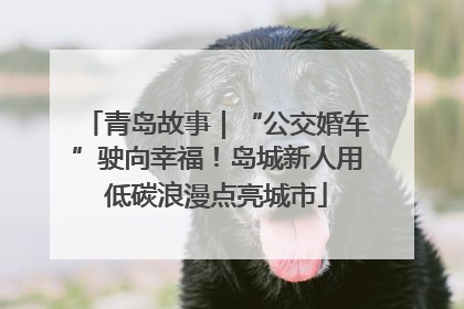 青岛故事｜“公交婚车”驶向幸福！岛城新人用低碳浪漫点亮城市