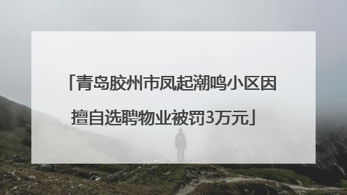 青岛胶州市凤起潮鸣小区因擅自选聘物业被罚3万元
