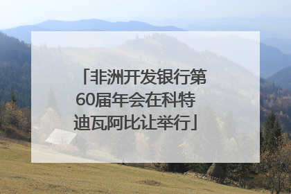 非洲开发银行第60届年会在科特迪瓦阿比让举行