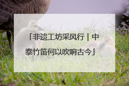 非遗工坊采风行｜中泰竹笛何以吹响古今