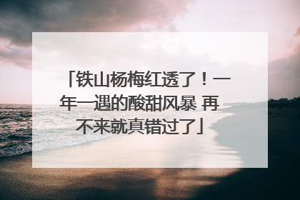 铁山杨梅红透了！一年一遇的酸甜风暴 再不来就真错过了