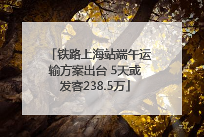 铁路上海站端午运输方案出台 5天或发客238.5万