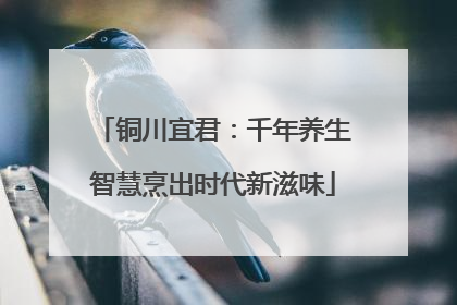 铜川宜君：千年养生智慧烹出时代新滋味