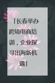 长春举办跨境电商培训，企业探寻出海新机遇