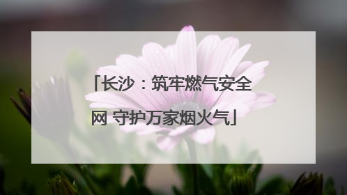 长沙：筑牢燃气安全网 守护万家烟火气
