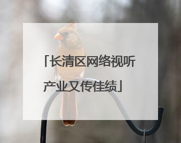 长清区网络视听产业又传佳绩