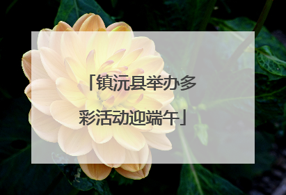 镇沅县举办多彩活动迎端午