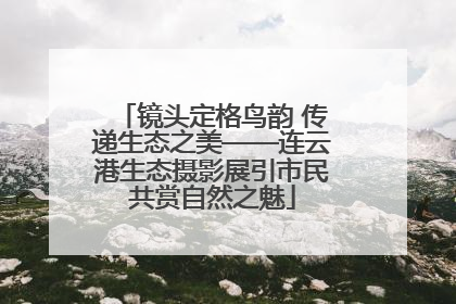 镜头定格鸟韵 传递生态之美——连云港生态摄影展引市民共赏自然之魅