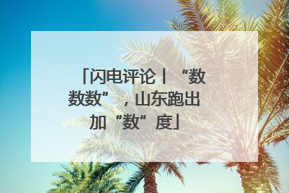 闪电评论丨“数数数”，山东跑出加“数”度