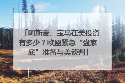 阿斯麦、宝马在美投资有多少？欧盟紧急“盘家底”准备与美谈判