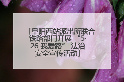 阜阳西站派出所联合铁路部门开展 “5·26 我爱路” 法治安全宣传活动