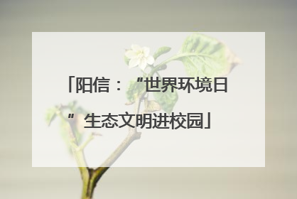 阳信：“世界环境日”生态文明进校园