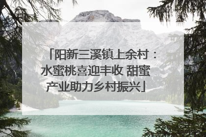 阳新三溪镇上余村：水蜜桃喜迎丰收 甜蜜产业助力乡村振兴