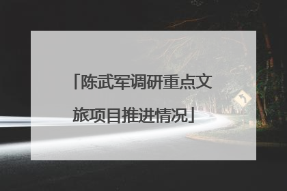 陈武军调研重点文旅项目推进情况