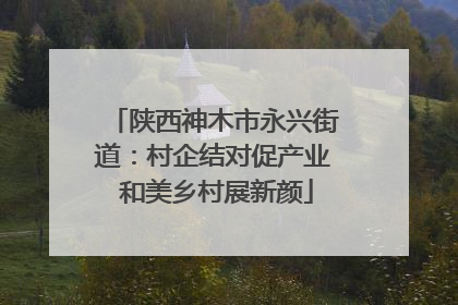 陕西神木市永兴街道：村企结对促产业 和美乡村展新颜