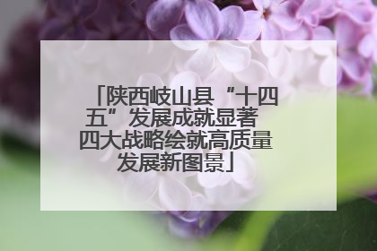 陕西岐山县“十四五”发展成就显著 四大战略绘就高质量发展新图景
