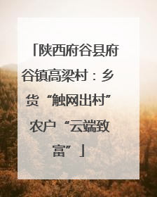 陕西府谷县府谷镇高梁村：乡货“触网出村” 农户“云端致富”